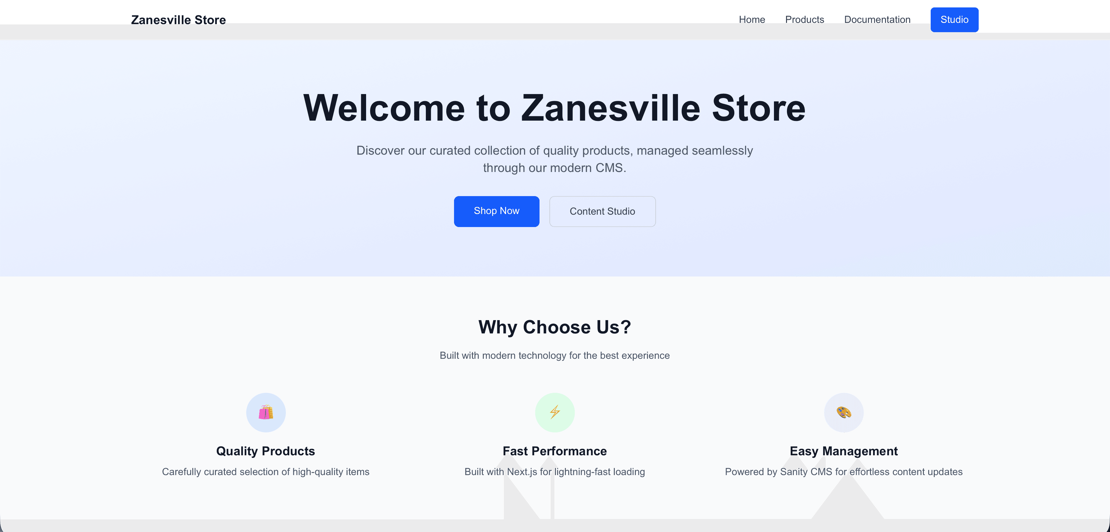 Zanesville.store screenshot